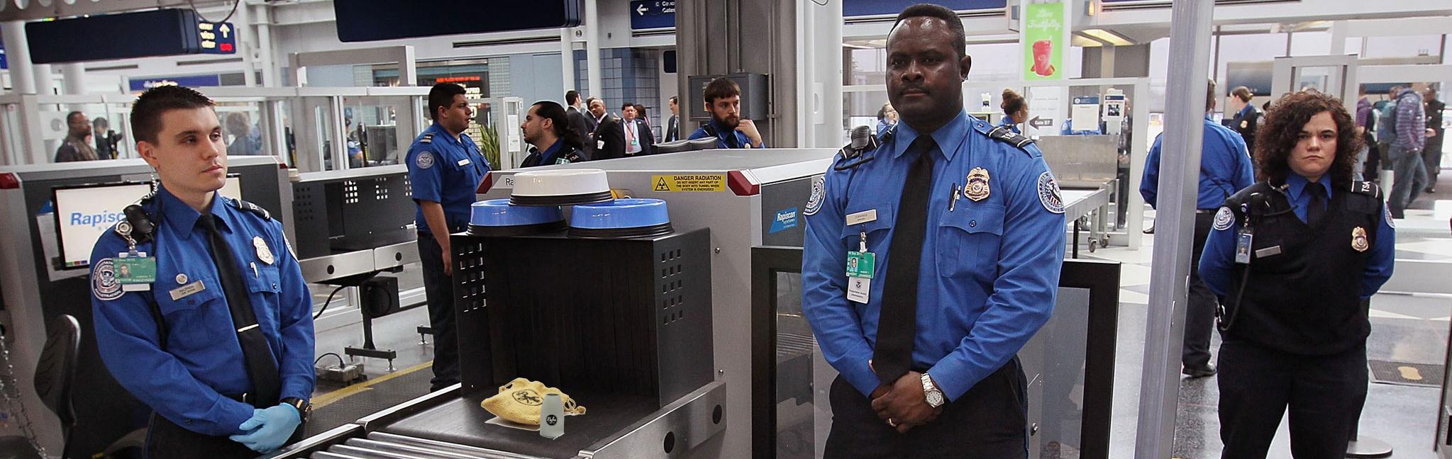 Airport Security Guards